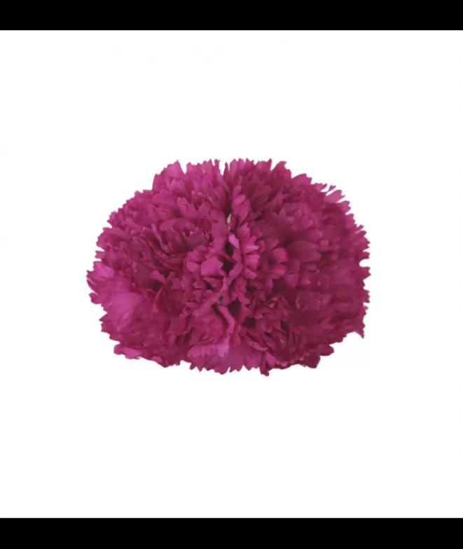Flores De Flamenca^Doña Sol Clavel Buganvilla Doble