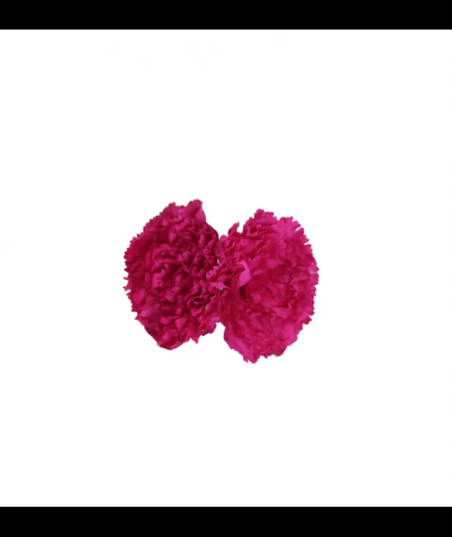 Flores De Flamenca^Doña Sol Clavel Fucsia Doble