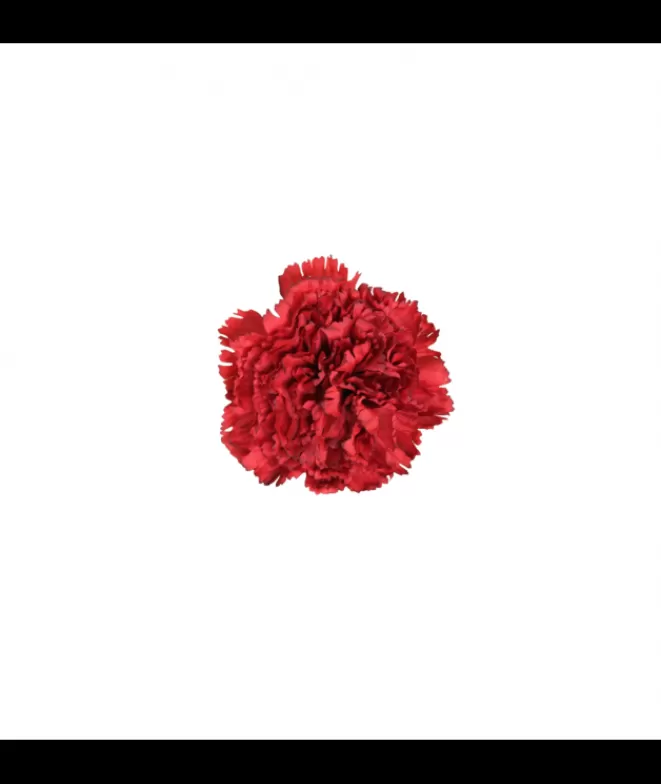 Flores De Flamenca^Doña Sol Clavel Rojo Oscuro Individual