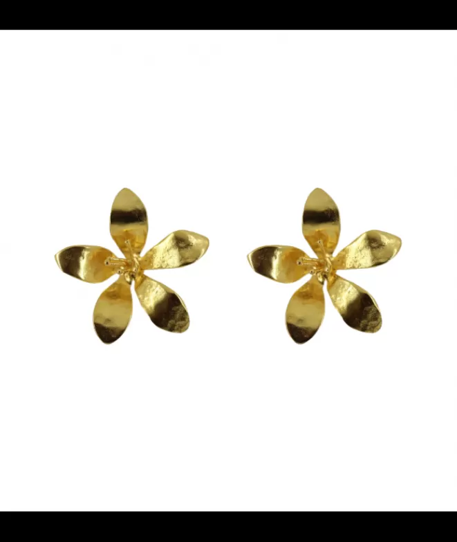 Pendientes Bisutería^Doña Sol Pendientes Jasminoide
